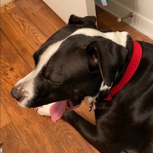 Meet your Posher, Mizar